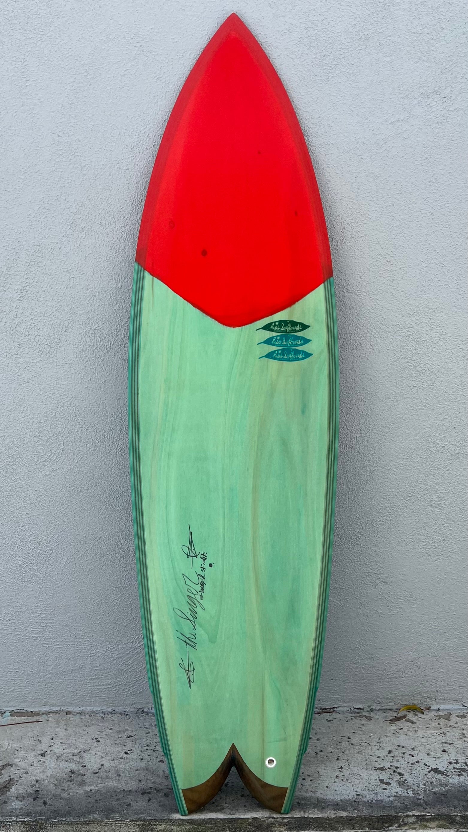 The Singer The Surfboard Collective
