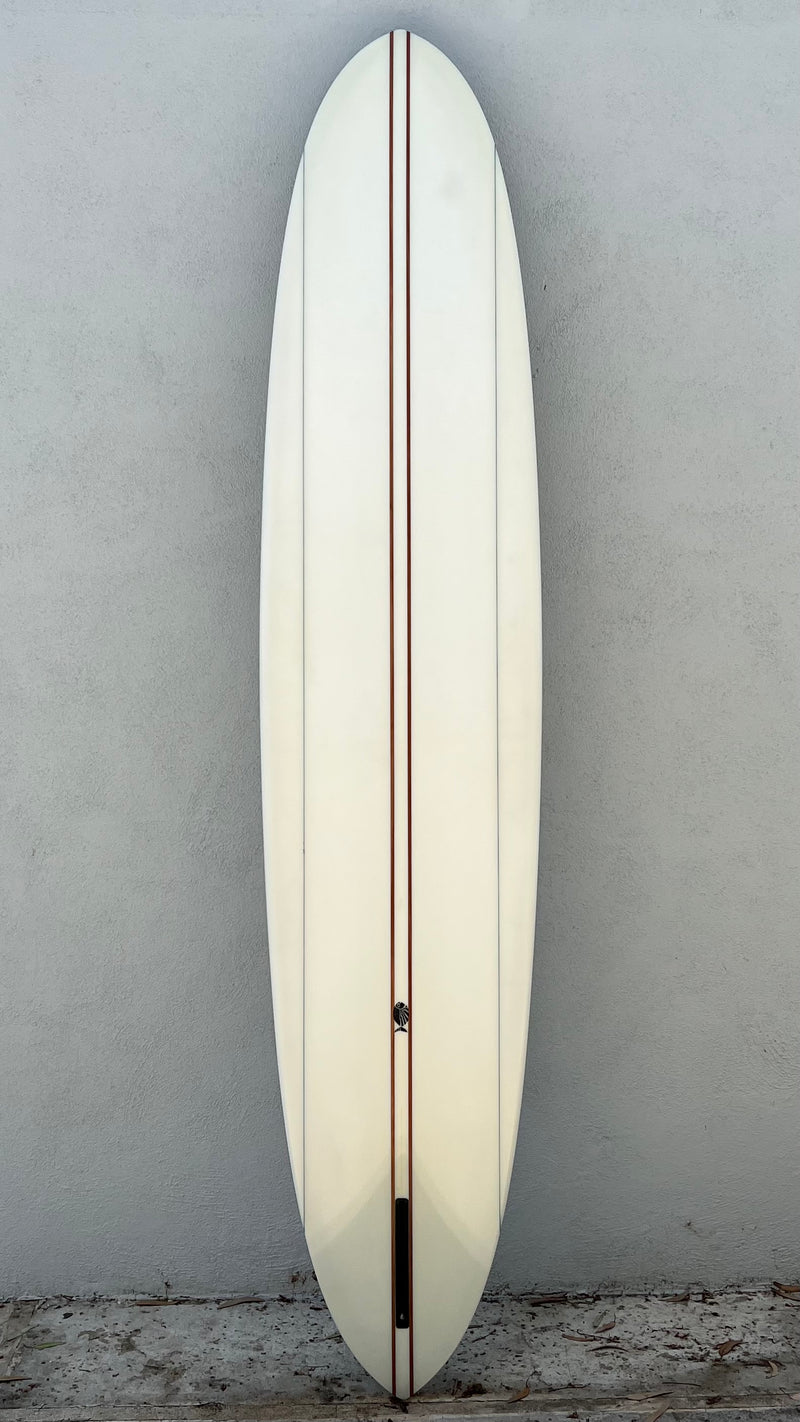 Ray Jay Pintail