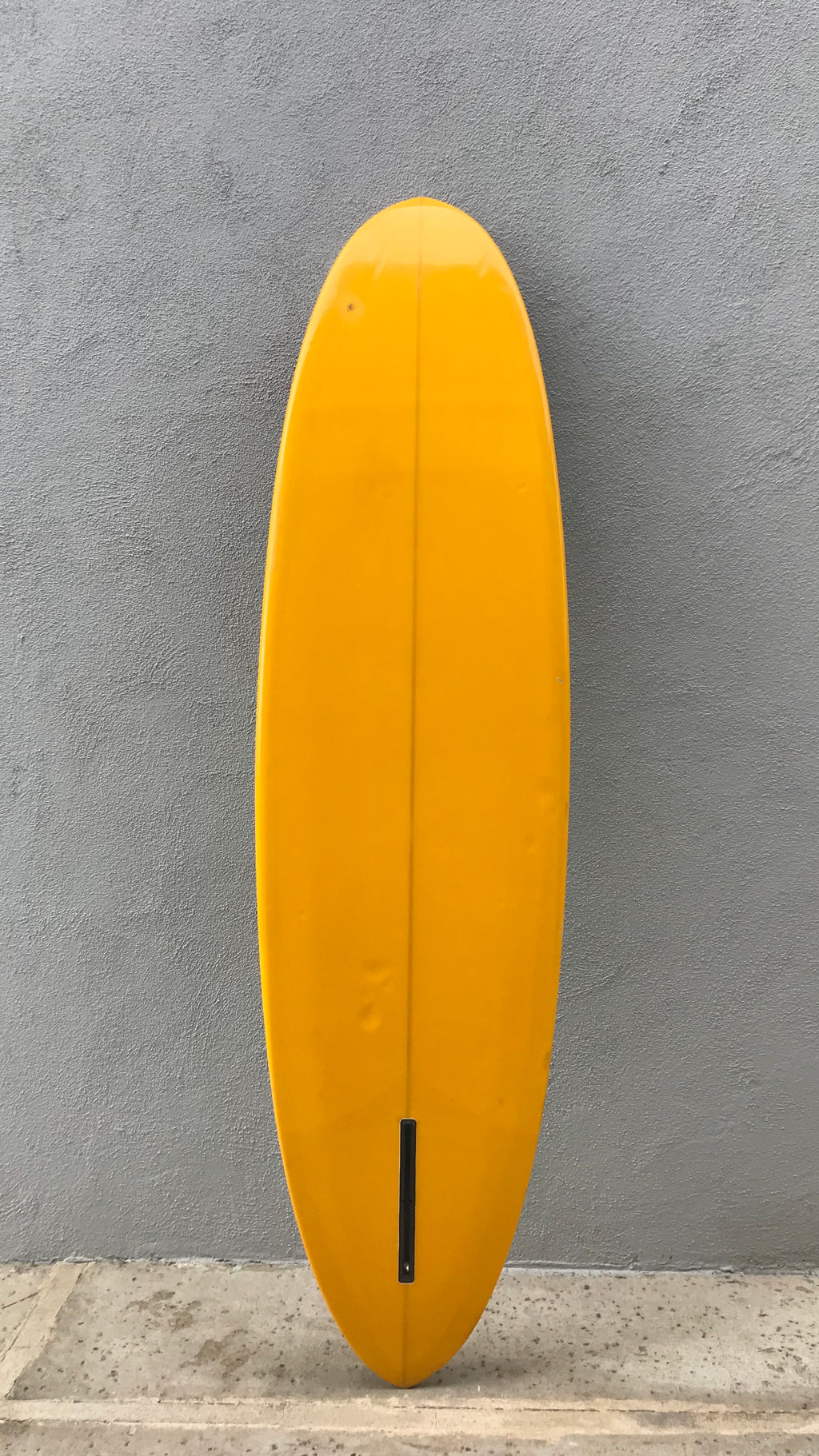 Single Fin Egg