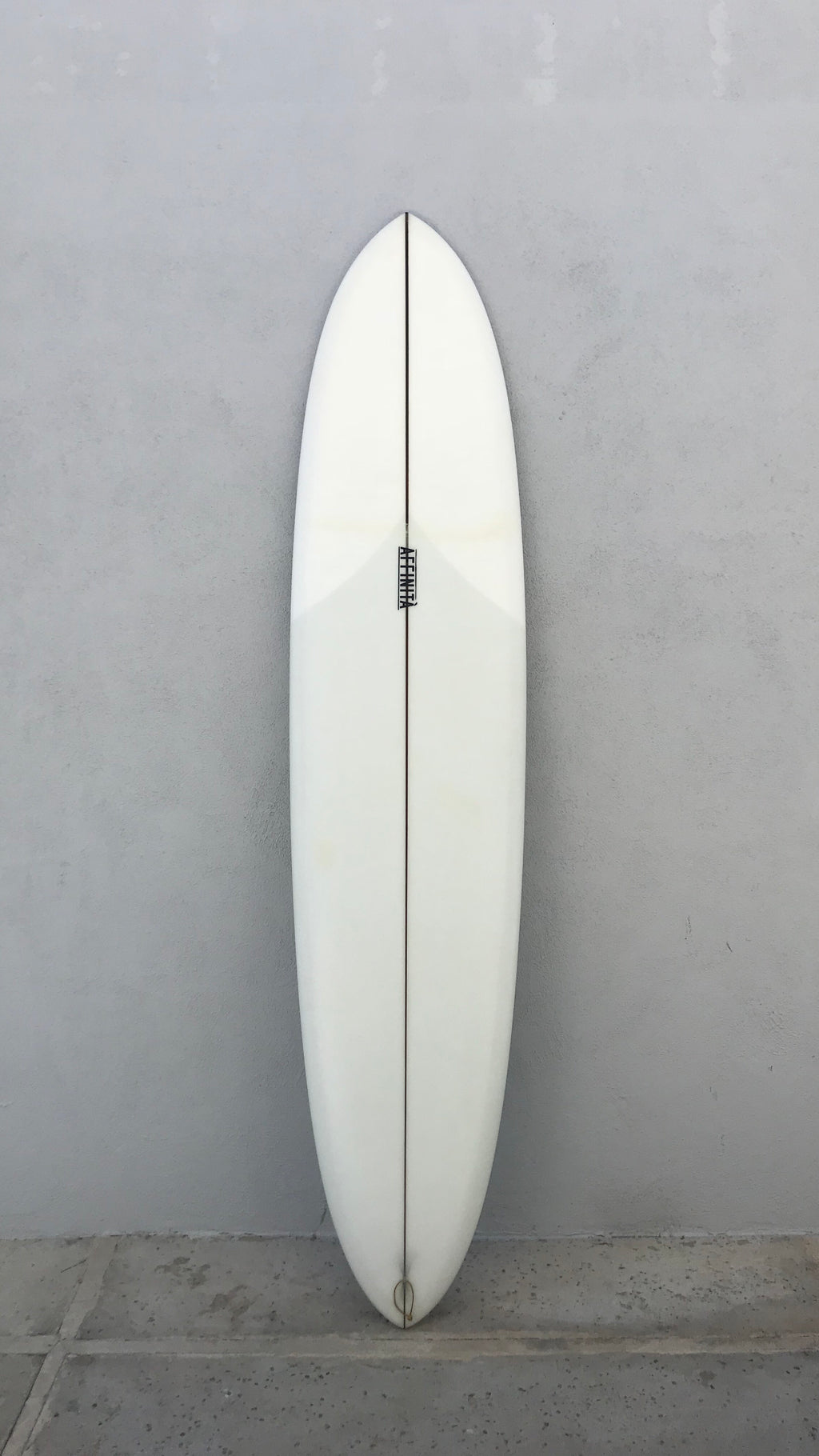 Single fin egg