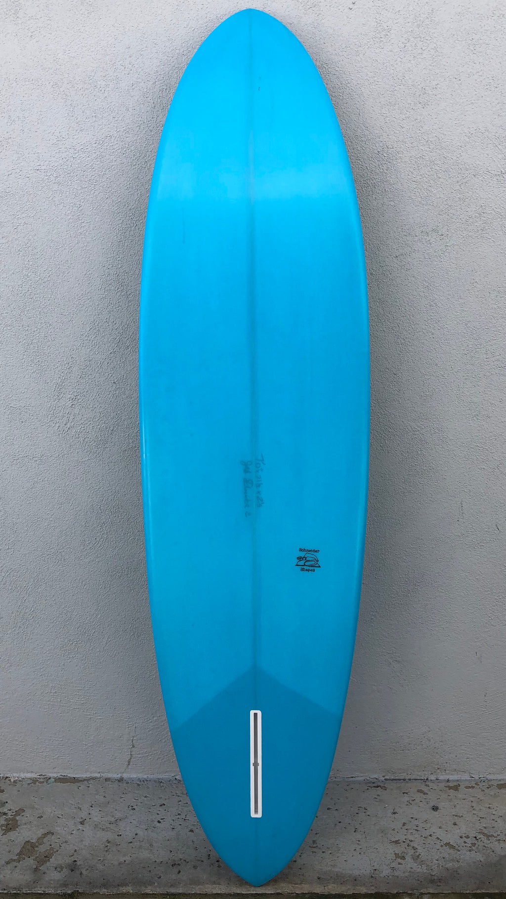 Single Fin Egg