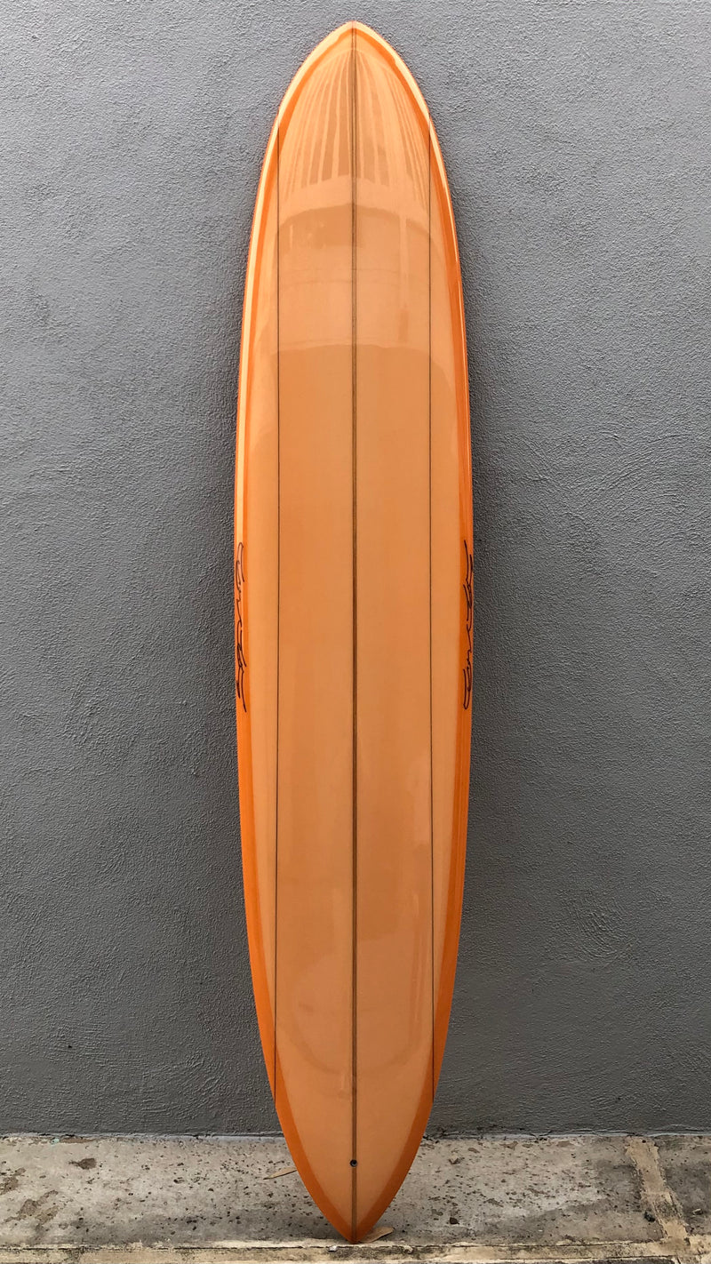 Ray Jay (Pintail)